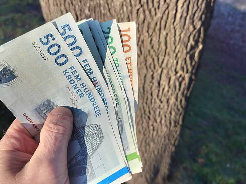 Ydelser Økonomisk værdiansættelse af træer Økonomisk værdiansættelse af træer