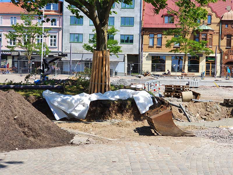 Teknisk rådgivning - Tjänster - Trädkontoret