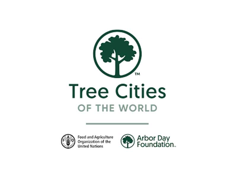 Tree Cities of the World - Våra tjänster - Trädkontoret