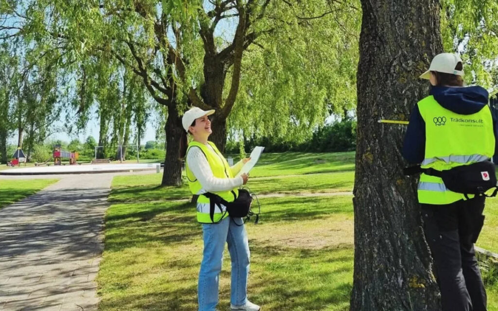 Hos Traekontoret søger vi nye talenter, der vil skabe grønnere byer. Klar til nye udfordringer? Søg job eller praktik hos os i dag.